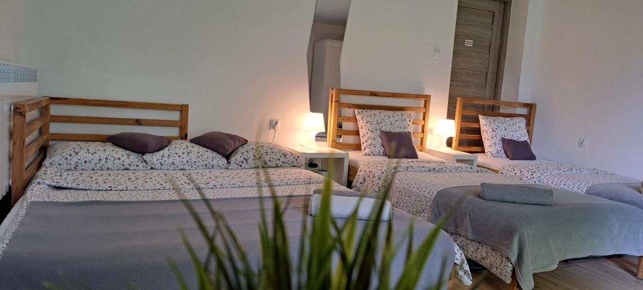 Apartament Na Szkolnej Zator Esterno foto